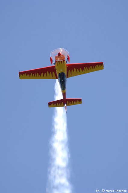 Frank Versteegh - Extra 300L (4)