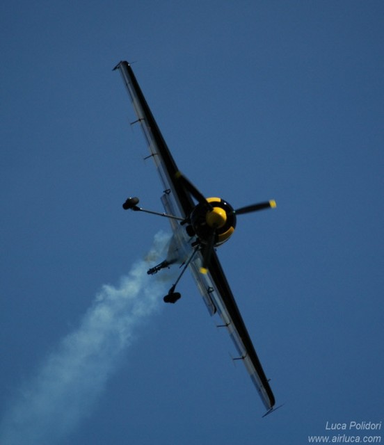 Sukhoi SU31 - Sergio Dallan (1)