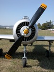 101 - YAK-52 LY-AMO