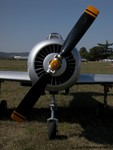 102 - YAK-52 LY-AMO