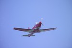 Il Pilatus PC7 di Mani Vetterli (3) [Marco Tricarico]