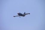 Il modello del Panther in volo [Marco Tricarico]