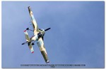 2006-05-21 Voghera Avioexpo 1645 Yak 55 Claudio Rossi