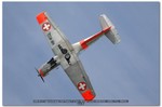 2006-05-21 Voghera Avioexpo 2226 Pilatus P-3 Flyers