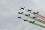 Frecce Tricolori (1)
