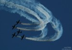 Red Bull Team (1)