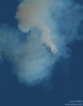 Red Bull Team (5)