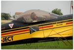 2006-06-10 Carpi Airshow 0743 Sukhoi 31M - Marco Bosoni
