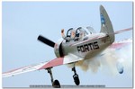 2006-06-10 Carpi Airshow 1234 YAK Italia