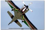 2006-06-10 Carpi Airshow 1318 CAP-21DS - Luca Salvadori
