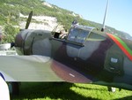 P9010039