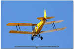 2006 09 10 Ferrara Airshow 340 De Havilland Tiger Moth