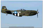 2006 09 10 Ferrara Airshow 915 P 51 Mustang
