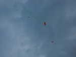 wag2009 060.jpg