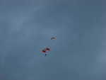 wag2009 061.jpg