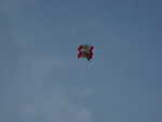 wag2009 070.jpg