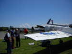 wag2009 150.jpg