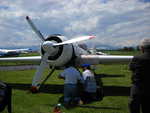 wag2009 151.jpg