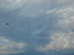 wag2009 154.jpg