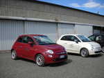 wag2009 169.jpg