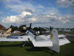 wag2009 188.jpg