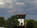 wag2009 192.jpg