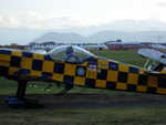 wag2009 203.jpg