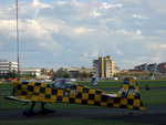 wag2009 204.jpg