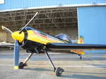 wag2009 212.jpg