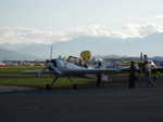 wag2009 213.jpg