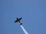 wag2009 228.jpg