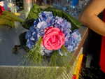 wag2009 370.jpg