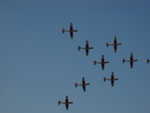 wag2009 375.jpg