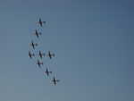 wag2009 376.jpg