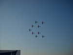 wag2009 378.jpg