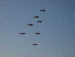 wag2009 383.jpg