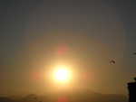 wag2009 386.jpg