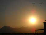 wag2009 387.jpg