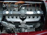 wag2009 390.jpg