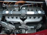 wag2009 391.jpg