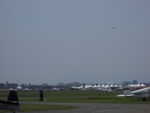 wag2009 403.jpg