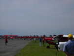 wag2009 419.jpg