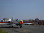 wag2009 432.jpg