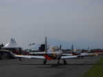 wag2009 434.jpg