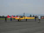 wag2009 447.jpg